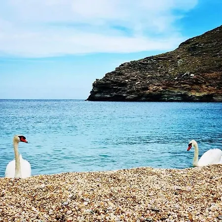 Patty Andro's Island Cyclades-greece Prázdninový dům Koumari