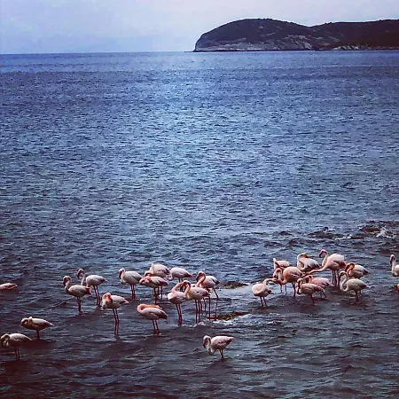 Patty Andro's Island Cyclades-greece Prázdninový dům Koumari