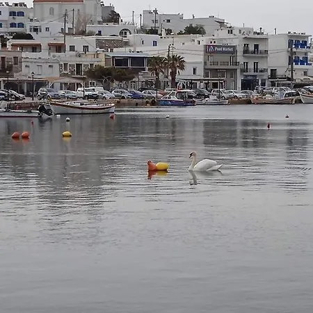 Holiday home Patty Andro's Island Cyclades-greece Koumari