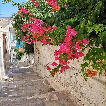 Holiday home Patty Andro's Island Cyclades-greece