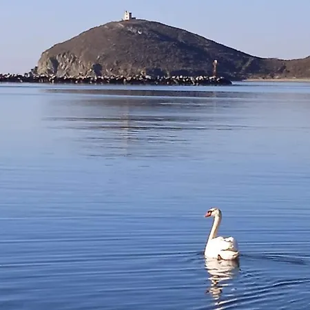 Patty Andro's Island Cyclades-greece