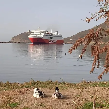 Prázdninový dům Patty Andro's Island Cyclades-greece *