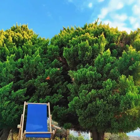 Patty Andro's Island Cyclades-greece Koumari
