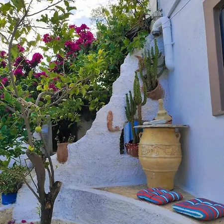 Patty Andro's Island Cyclades-greece