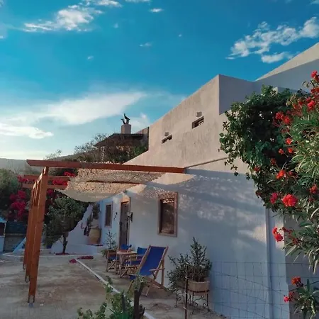 Patty Andro's Island Cyclades-greece *